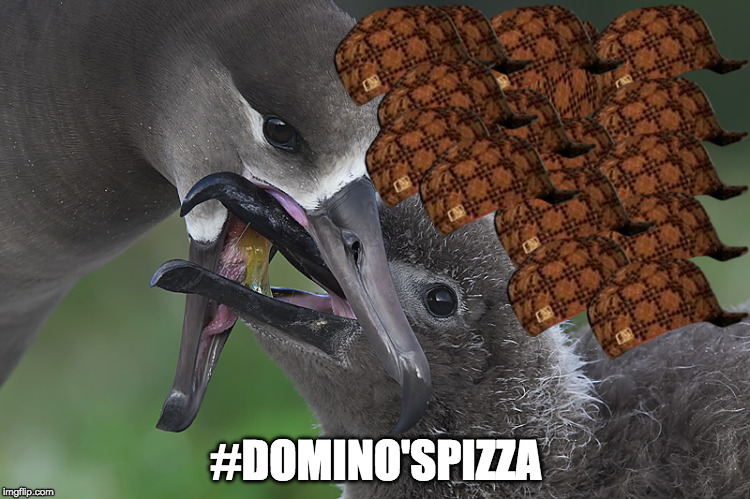 What is it? | #DOMINO'SPIZZA | image tagged in planet earth,pizza,barfcity,dirty bird,good parenting | made w/ Imgflip meme maker