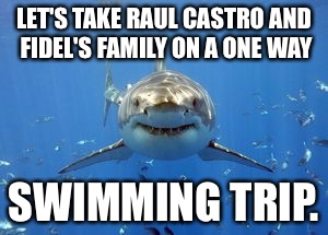Give the dictators a chance | LET'S TAKE RAUL CASTRO AND FIDEL'S FAMILY ON A ONE WAY; SWIMMING TRIP. | image tagged in memes,raul castro,shark,swim trip,fidel castro family,dictator | made w/ Imgflip meme maker