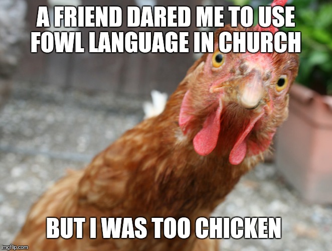 Friends  | A FRIEND DARED ME TO USE FOWL LANGUAGE IN CHURCH; BUT I WAS TOO CHICKEN | image tagged in memes | made w/ Imgflip meme maker