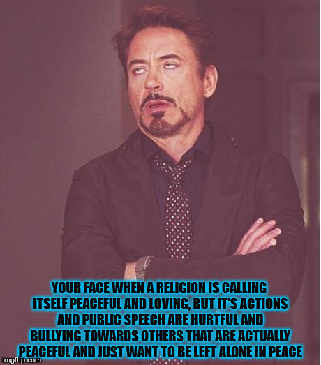 Face You Make Robert Downey Jr Meme | YOUR FACE WHEN A RELIGION IS CALLING ITSELF PEACEFUL AND LOVING, BUT IT'S ACTIONS AND PUBLIC SPEECH ARE HURTFUL AND BULLYING TOWARDS OTHERS  | image tagged in memes,face you make robert downey jr | made w/ Imgflip meme maker