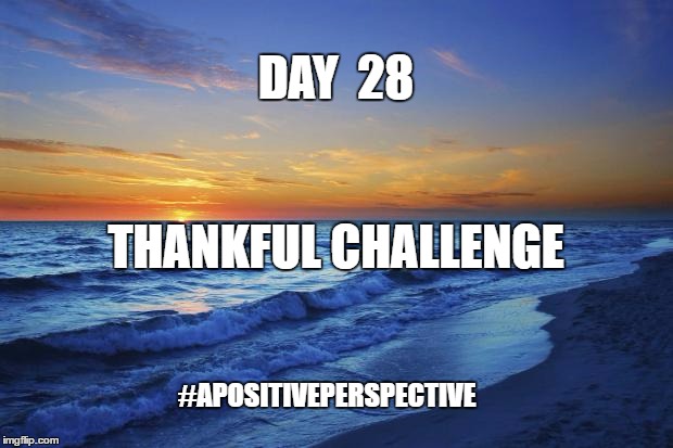 Beach | DAY  28; THANKFUL CHALLENGE; #APOSITIVEPERSPECTIVE | image tagged in beach | made w/ Imgflip meme maker