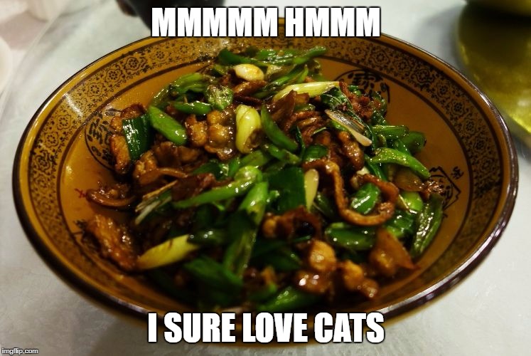 Cat Food | MMMMM HMMM; I SURE LOVE CATS | image tagged in mystery meat,cats | made w/ Imgflip meme maker