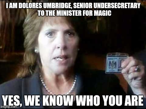 I AM DOLORES UMBRIDGE, SENIOR UNDERSECRETARY 
TO THE MINISTER FOR MAGIC; YES, WE KNOW WHO YOU ARE | image tagged in harry potter,doctor who | made w/ Imgflip meme maker