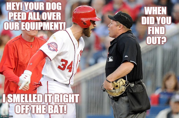 oh yeah? | WHEN DID YOU FIND OUT? HEY! YOUR DOG PEED ALL OVER OUR EQUIPMENT! I SMELLED IT RIGHT OFF THE BAT! | image tagged in yeah | made w/ Imgflip meme maker