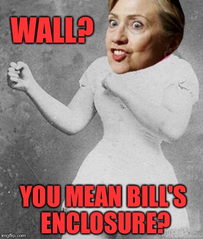 WALL? YOU MEAN BILL'S ENCLOSURE? | made w/ Imgflip meme maker