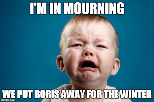 CRYING BABY | I'M IN MOURNING; WE PUT BORIS AWAY FOR THE WINTER | image tagged in crying baby | made w/ Imgflip meme maker