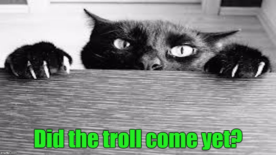 Did the troll come yet? | made w/ Imgflip meme maker