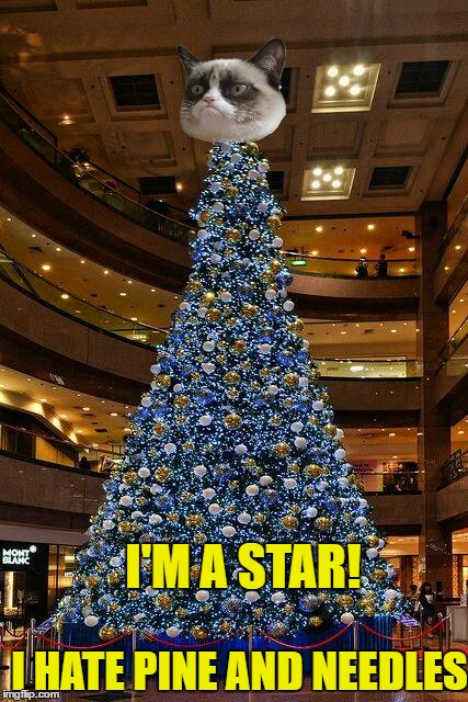 I HATE PINE AND NEEDLES I'M A STAR! | made w/ Imgflip meme maker