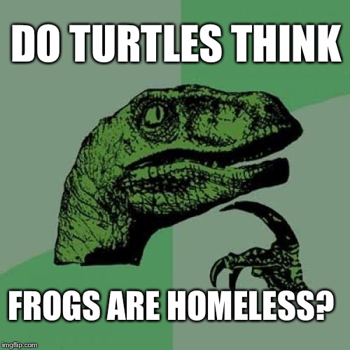 Think About IIIT...Think About IIIT...Bingo: | DO TURTLES THINK; FROGS ARE HOMELESS? | image tagged in memes,philosoraptor | made w/ Imgflip meme maker