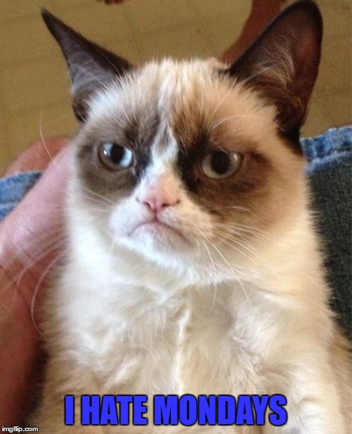 Grumpy Cat Meme | I HATE MONDAYS | image tagged in memes,grumpy cat | made w/ Imgflip meme maker