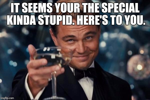 Leonardo Dicaprio Cheers Meme | IT SEEMS YOUR THE SPECIAL KINDA STUPID. HERE'S TO YOU. | image tagged in memes,leonardo dicaprio cheers | made w/ Imgflip meme maker
