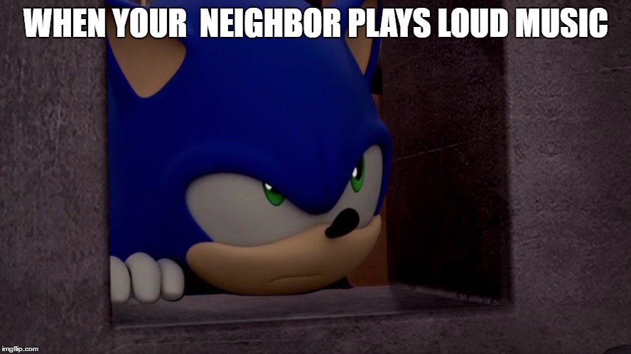 There is a Line Between Loud and Unreasonably Loud | WHEN YOUR  NEIGHBOR PLAYS LOUD MUSIC | image tagged in sonic is not impressed - sonic boom,loud music | made w/ Imgflip meme maker