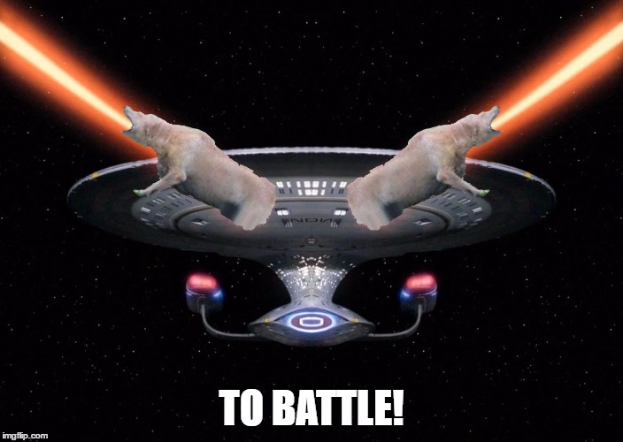 Raydog's Laser Ship | TO BATTLE! | image tagged in raydog's laser ship | made w/ Imgflip meme maker