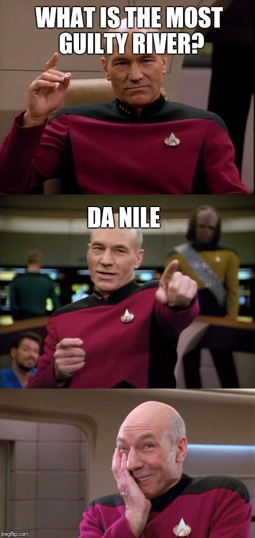 Denial in its most punny form | WHAT IS THE MOST GUILTY RIVER? DA NILE | image tagged in bad pun picard | made w/ Imgflip meme maker