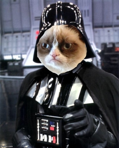 Dearth Vader grumpy cat Blank Meme Template