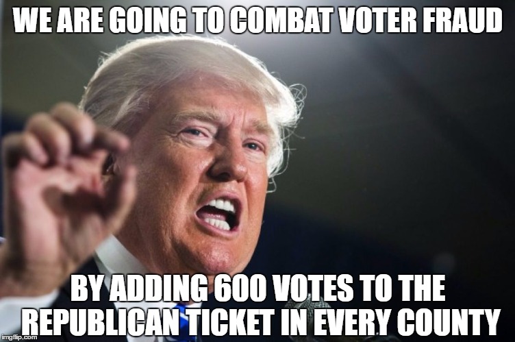 Lord Trump's Ingenious Plan | WE ARE GOING TO COMBAT VOTER FRAUD; BY ADDING 600 VOTES TO THE REPUBLICAN TICKET IN EVERY COUNTY | image tagged in donald trump,republican,democrat,voter fraud | made w/ Imgflip meme maker