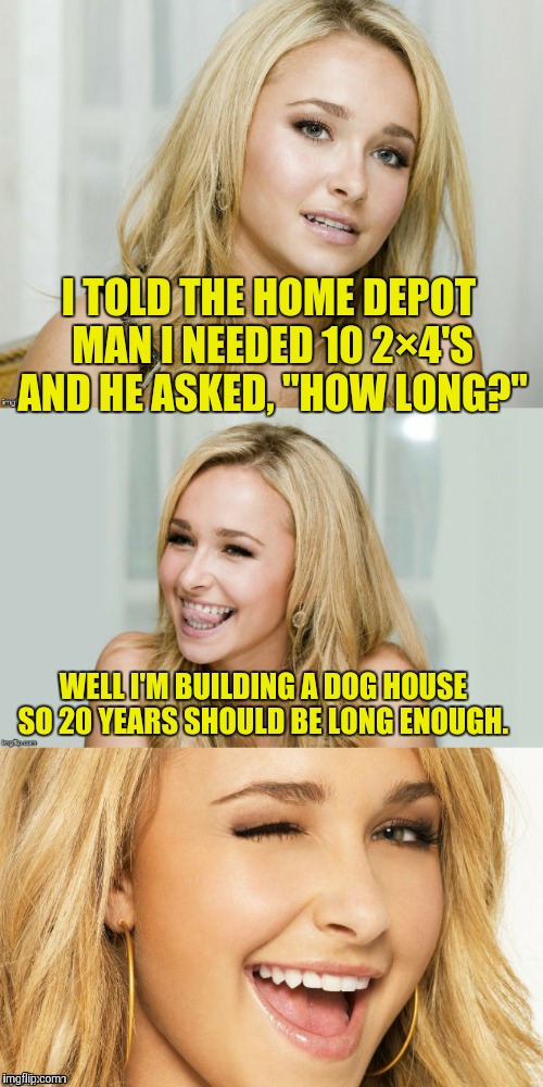 Bad Pun Hayden Panettiere | I TOLD THE HOME DEPOT MAN I NEEDED 10 2×4'S AND HE ASKED, "HOW LONG?"; WELL I'M BUILDING A DOG HOUSE SO 20 YEARS SHOULD BE LONG ENOUGH. | image tagged in bad pun hayden panettiere | made w/ Imgflip meme maker