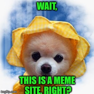 WAIT, THIS IS A MEME SITE, RIGHT? | made w/ Imgflip meme maker