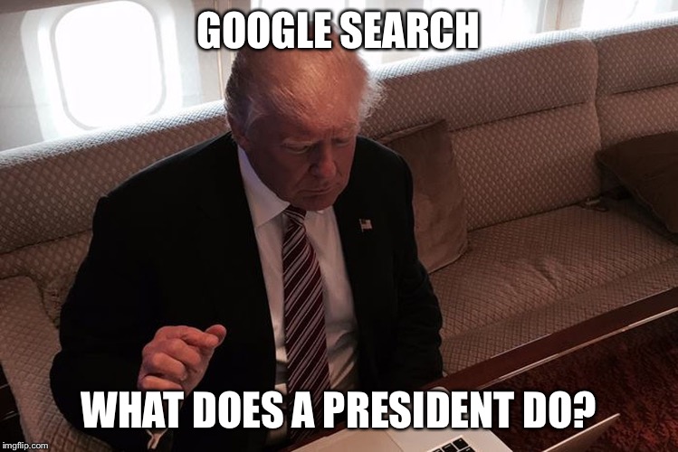 Trump | GOOGLE SEARCH; WHAT DOES A PRESIDENT DO? | image tagged in trump | made w/ Imgflip meme maker