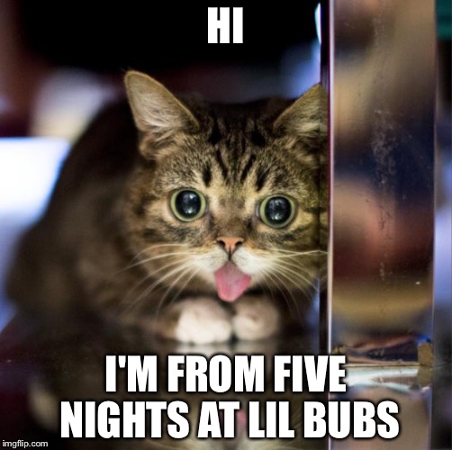 Lil Bub | HI; I'M FROM FIVE NIGHTS AT LIL BUBS | image tagged in lil bub | made w/ Imgflip meme maker