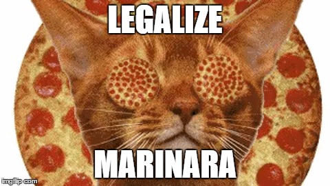 LEGALIZE; MARINARA | image tagged in legalize,marijuana,pizza,cat | made w/ Imgflip meme maker