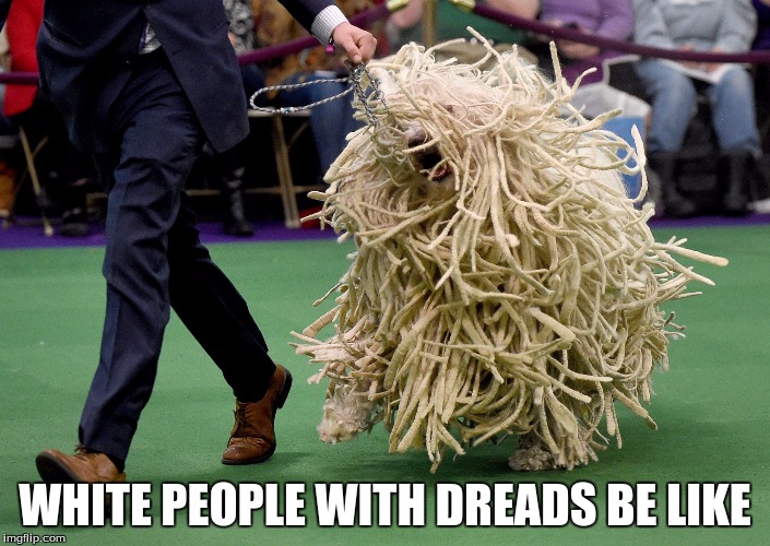 WHITE PEOPLE WITH DREADS BE LIKE | made w/ Imgflip meme maker