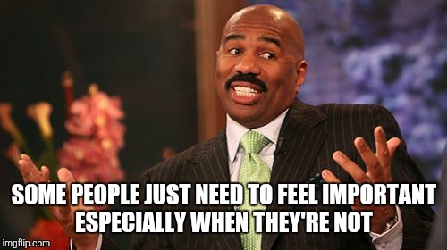 Steve Harvey Meme | SOME PEOPLE JUST NEED TO FEEL IMPORTANT ESPECIALLY WHEN THEY'RE NOT | image tagged in memes,steve harvey | made w/ Imgflip meme maker