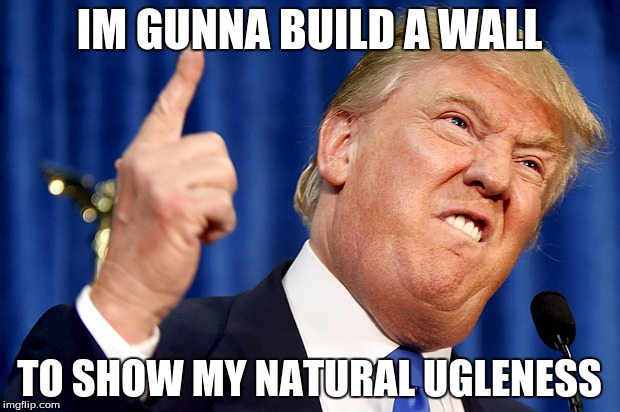 Donald Trump | IM GUNNA BUILD A WALL; TO SHOW MY NATURAL UGLENESS | image tagged in donald trump | made w/ Imgflip meme maker
