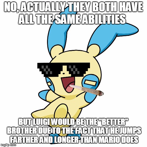 Deal With It Minun | NO, ACTUALLY THEY BOTH HAVE ALL THE SAME ABILITIES BUT LUIGI WOULD BE THE "BETTER" BROTHER DUE TO THE FACT THAT HE JUMPS FARTHER AND LONGER  | image tagged in deal with it minun | made w/ Imgflip meme maker