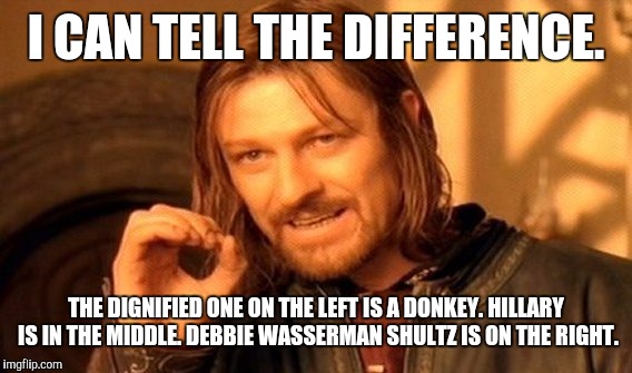 One Does Not Simply Meme | I CAN TELL THE DIFFERENCE. THE DIGNIFIED ONE ON THE LEFT IS A DONKEY. HILLARY IS IN THE MIDDLE. DEBBIE WASSERMAN SHULTZ IS ON THE RIGHT. | image tagged in memes,one does not simply | made w/ Imgflip meme maker