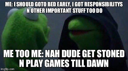 kermit me to me | ME: I SHOULD GOTO BED EARLY, I GOT RESPONSIBILITYS N OTHER IMPORTANT STUFF TOO DO; ME TOO ME: NAH DUDE GET STONED N PLAY GAMES TILL DAWN | image tagged in kermit me to me | made w/ Imgflip meme maker