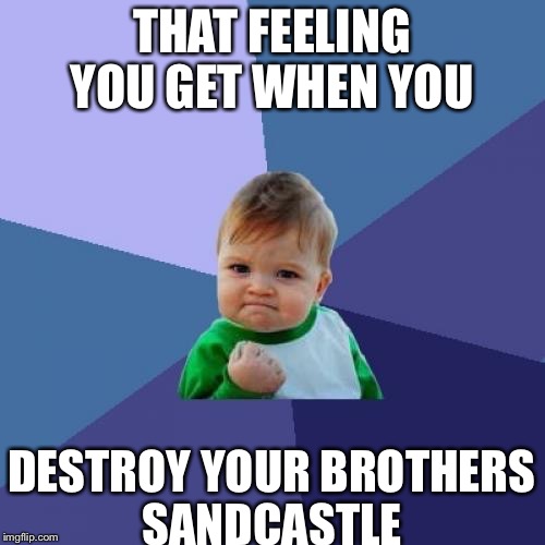 Success Kid Meme | THAT FEELING YOU GET WHEN YOU; DESTROY YOUR BROTHERS SANDCASTLE | image tagged in memes,success kid | made w/ Imgflip meme maker