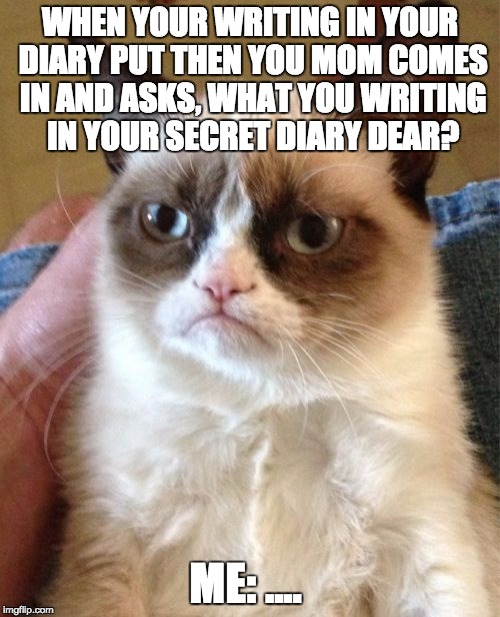 Grumpy Cat | WHEN YOUR WRITING IN YOUR DIARY PUT THEN YOU MOM COMES IN AND ASKS, WHAT YOU WRITING IN YOUR SECRET DIARY DEAR? ME: .... | image tagged in memes,grumpy cat | made w/ Imgflip meme maker