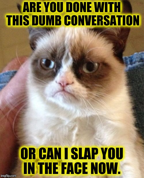 Grumpy Cat Meme | ARE YOU DONE WITH THIS DUMB CONVERSATION; OR CAN I SLAP YOU IN THE FACE NOW. | image tagged in memes,grumpy cat,scumbag | made w/ Imgflip meme maker