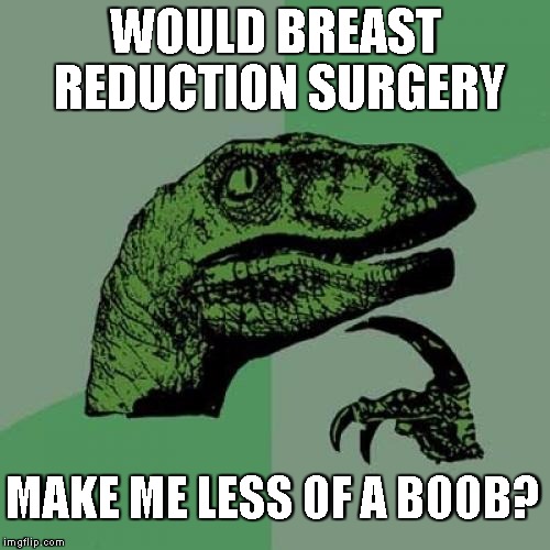 Philosoraptor | WOULD BREAST REDUCTION SURGERY; MAKE ME LESS OF A BOOB? | image tagged in memes,philosoraptor | made w/ Imgflip meme maker