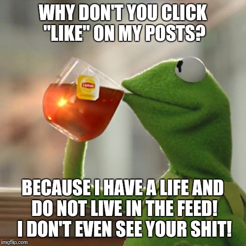 But That's None Of My Business Meme | WHY DON'T YOU CLICK "LIKE" ON MY POSTS? BECAUSE I HAVE A LIFE AND DO NOT LIVE IN THE FEED! I DON'T EVEN SEE YOUR SHIT! | image tagged in memes,but thats none of my business,kermit the frog | made w/ Imgflip meme maker