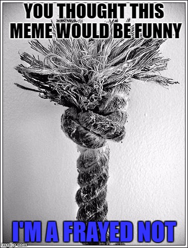 Bad Puns Need Upvotes!! | YOU THOUGHT THIS MEME WOULD BE FUNNY; I'M A FRAYED NOT | image tagged in memes,puns | made w/ Imgflip meme maker