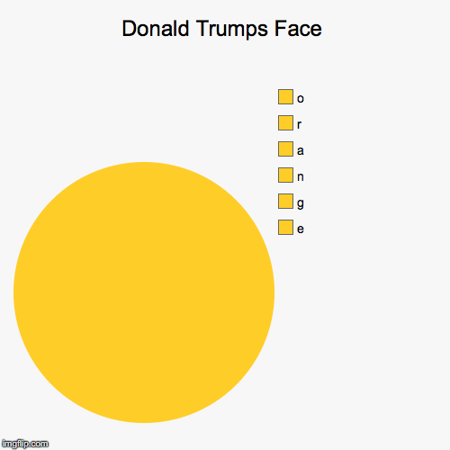 Donald Trumps Face | image tagged in funny,pie charts,donald trump,orange,memes,porn | made w/ Imgflip chart maker