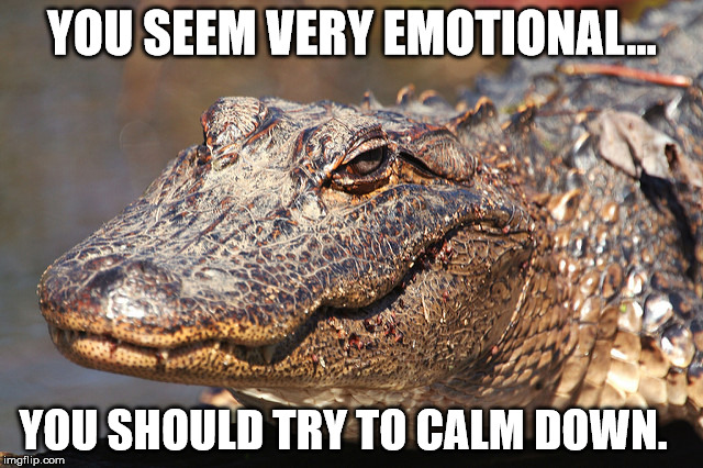 Instagator Alligator  | YOU SEEM VERY EMOTIONAL... YOU SHOULD TRY TO CALM DOWN. | image tagged in instagator alligator | made w/ Imgflip meme maker