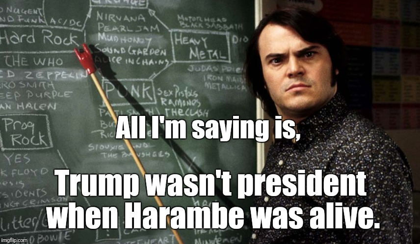 Coincidence? | All I'm saying is, Trump wasn't president when Harambe was alive. | image tagged in trump,harambe | made w/ Imgflip meme maker