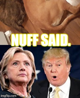 Nuff said | NUFF SAID. | image tagged in trump,clinton,dogs,dog,ass,asses | made w/ Imgflip meme maker