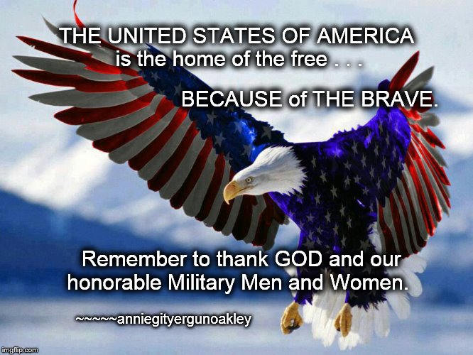 BECAUSE of THE BRAVE | THE UNITED STATES OF AMERICA is the home of the free . . . BECAUSE of THE BRAVE. Remember to thank GOD and our honorable Military Men and Women. ~~~~~anniegityergunoakley | image tagged in memes,home of the free,because of the brave,usa | made w/ Imgflip meme maker