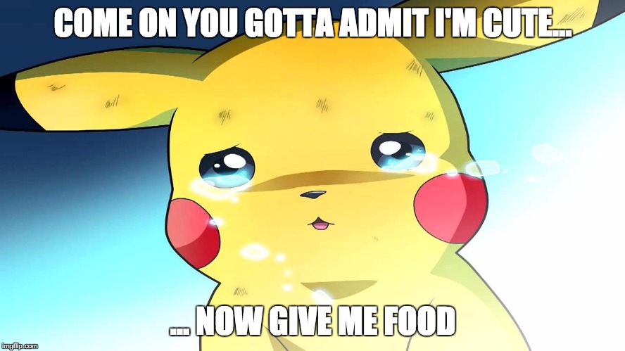 COME ON YOU GOTTA ADMIT I'M CUTE... ... NOW GIVE ME FOOD | image tagged in pokdork | made w/ Imgflip meme maker