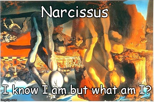 Narcissus Dali | Narcissus; I know I am but what am I? | image tagged in narcissism,dali | made w/ Imgflip meme maker
