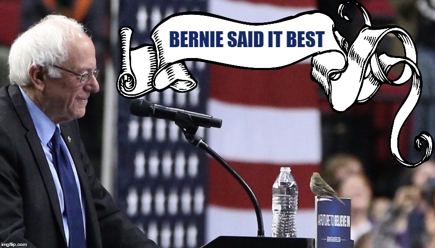 Bernie said it best! | BERNIE SAID IT BEST | image tagged in bernie,bird,hope | made w/ Imgflip meme maker