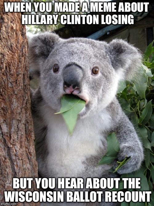 Surprised Koala | WHEN YOU MADE A MEME ABOUT HILLARY CLINTON LOSING; BUT YOU HEAR ABOUT THE WISCONSIN BALLOT RECOUNT | image tagged in memes,surprised koala,featured | made w/ Imgflip meme maker