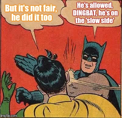 Batman Slapping Robin Meme | But it's not fair, he did it too He's allowed, DINGBAT, he's on the 'slow side' | image tagged in memes,batman slapping robin | made w/ Imgflip meme maker