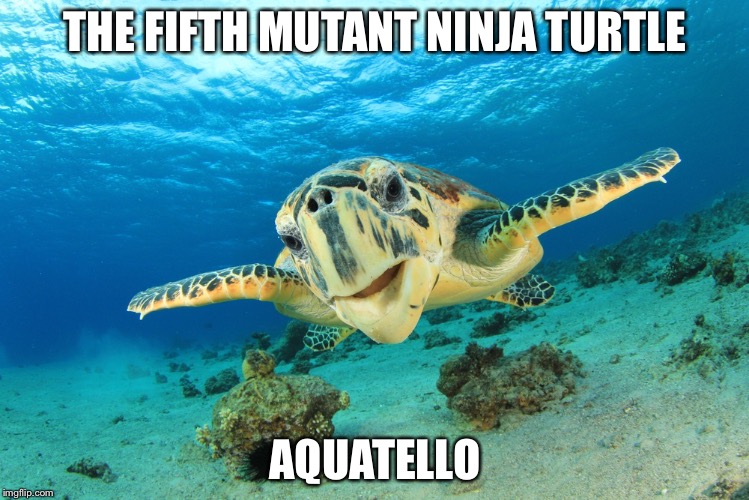 Sea turtle | THE FIFTH MUTANT NINJA TURTLE; AQUATELLO | image tagged in sea turtle,memes | made w/ Imgflip meme maker