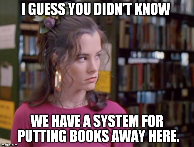 You were just randomly putting that book on the shelf, is that it?  | I GUESS YOU DIDN'T KNOW; WE HAVE A SYSTEM FOR PUTTING BOOKS AWAY HERE. | image tagged in library,librarian,dewey decimal system,libraries | made w/ Imgflip meme maker