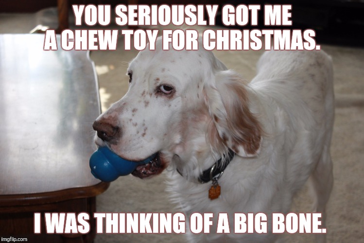 YOU SERIOUSLY GOT ME A CHEW TOY FOR CHRISTMAS. I WAS THINKING OF A BIG BONE. | image tagged in dog with toy | made w/ Imgflip meme maker